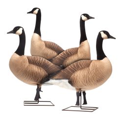 Giants | Upright 4-Pack