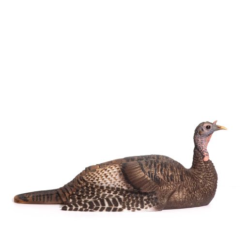 Custom Flock | 3/4 Strut Jake