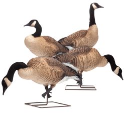 Honkers | Combo 4-Pack