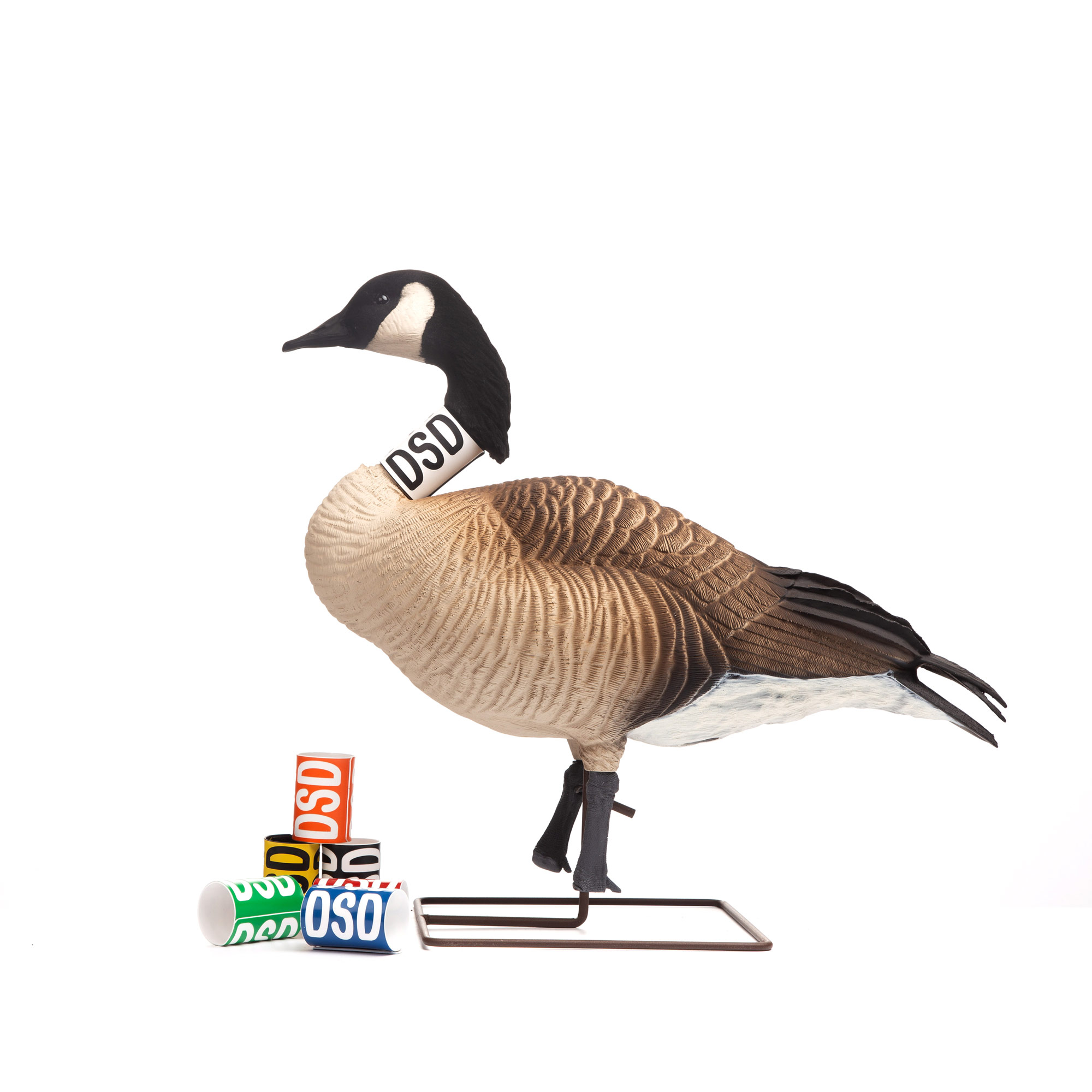 Honker | Neck-Collar Decoy