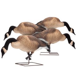 Honkers | Feeder 4-Pack