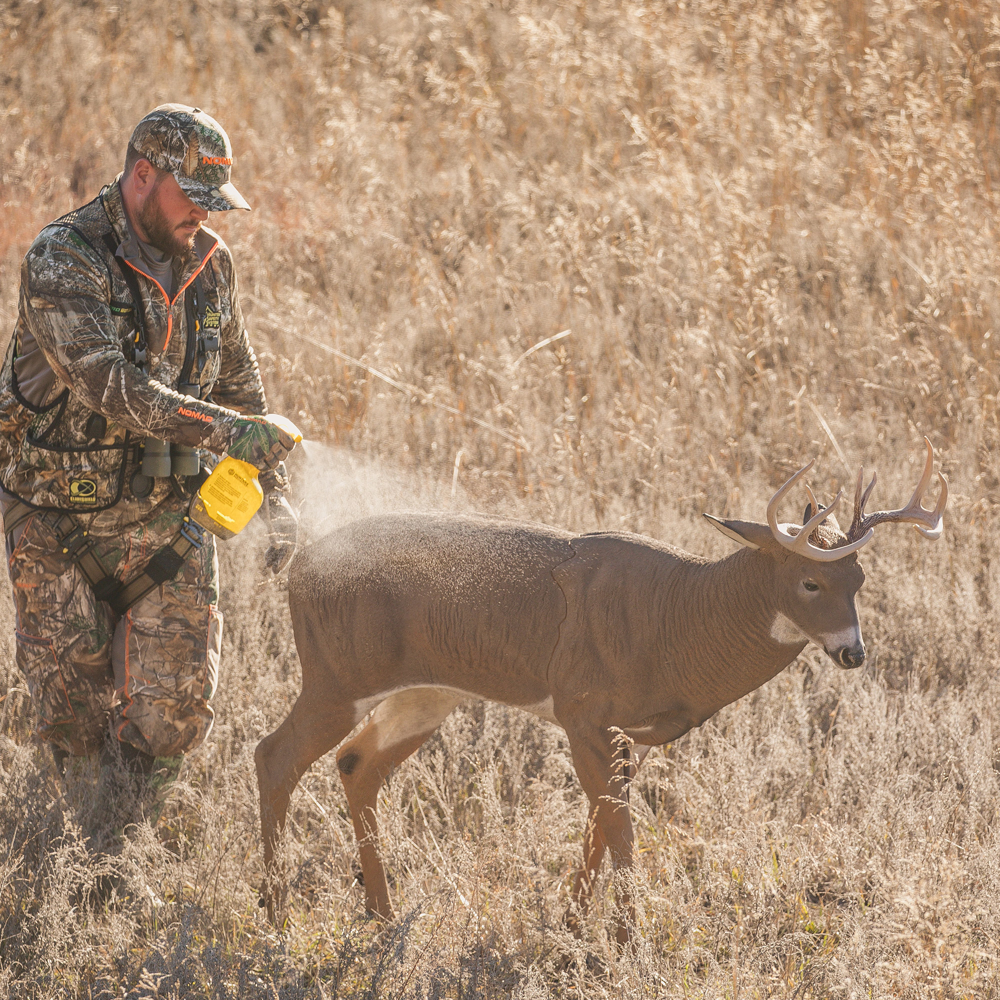 Posturing Buck - Image 4