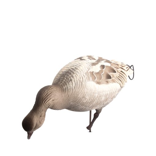 Snow Goose Juvie | Combo 6-Pack - Image 5