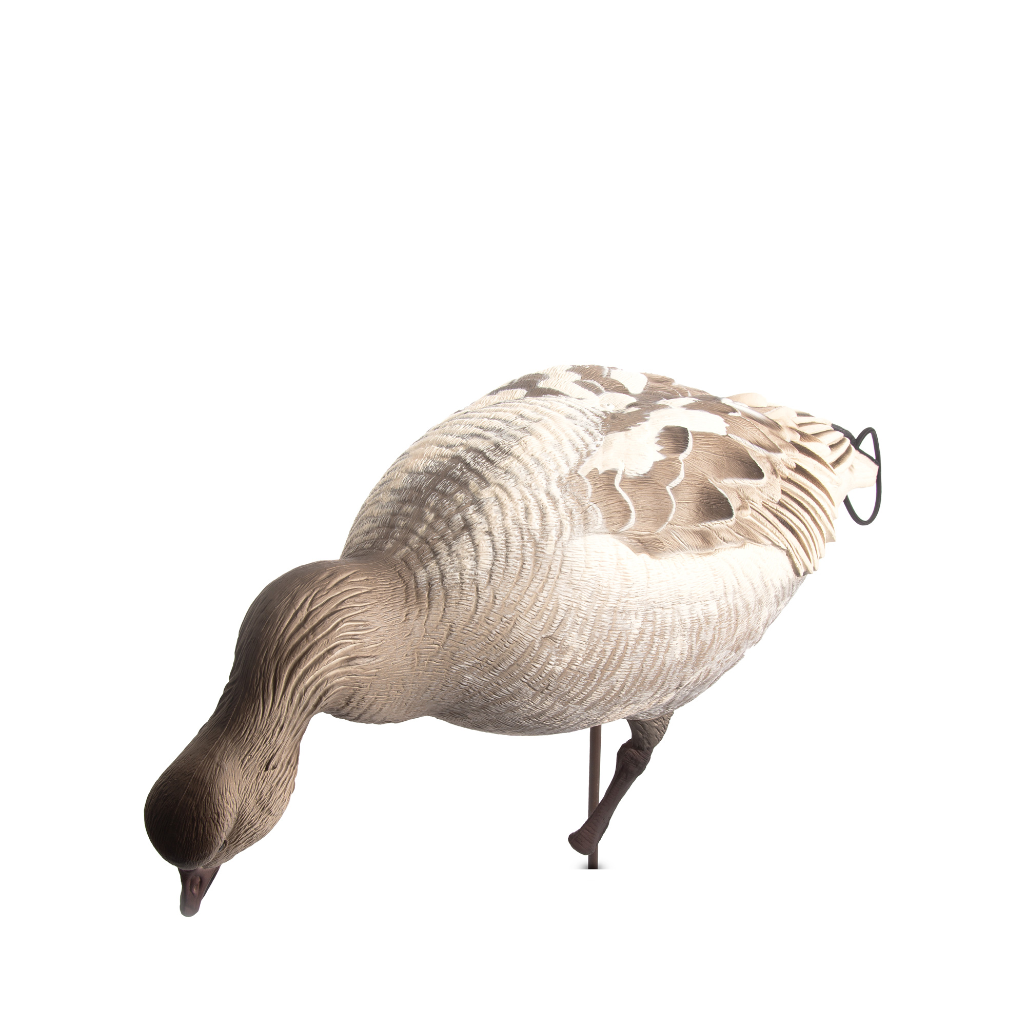 Snow Goose Juvie | Combo 6-Pack - Image 5
