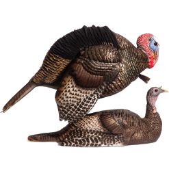 Mating Motion Pair