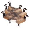 Cacklers | Upright 6-Pack