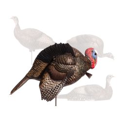 Custom Flock | Mating Motion Jake
