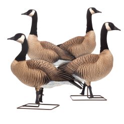 Honkers | Upright 4-Pack