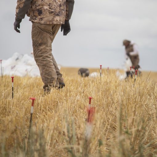 Snow Goose Stakes | 10-Pack - Image 5