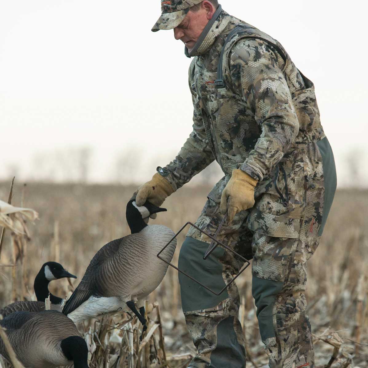 Honkers | Rester 4-Pack - Image 2