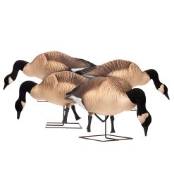 Giants | Feeder 4-Pack