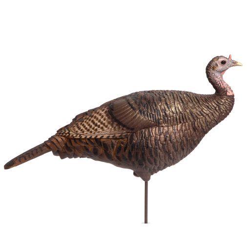 Custom Flock | 3/4 Strut Jake