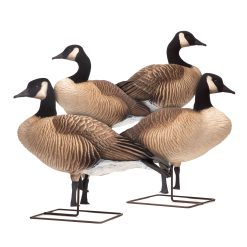 Honkers | Rester 4-Pack