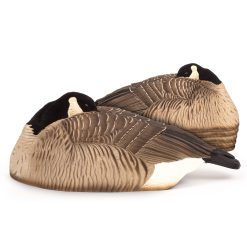 Maximas | Sleeper Shell 6-Pack