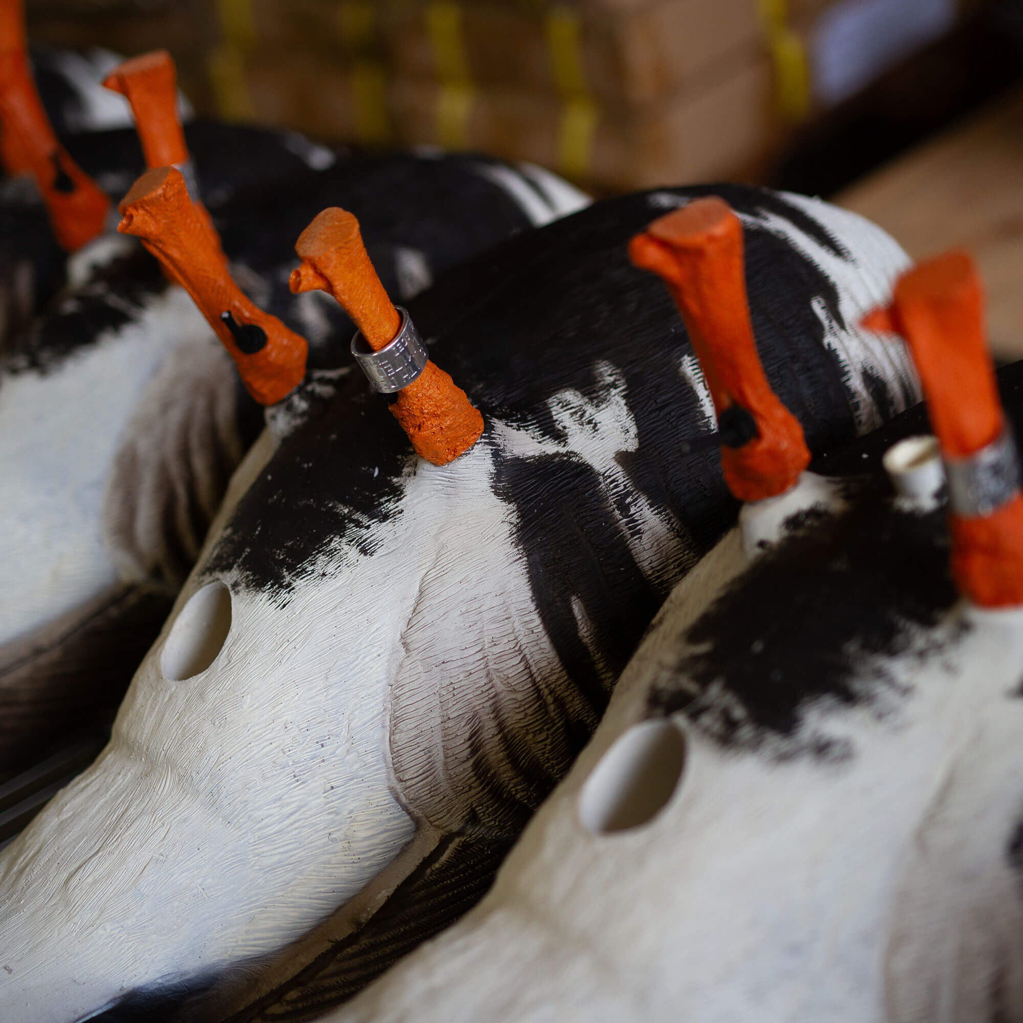 Limited Speck | Tarbelly Pair - Image 7