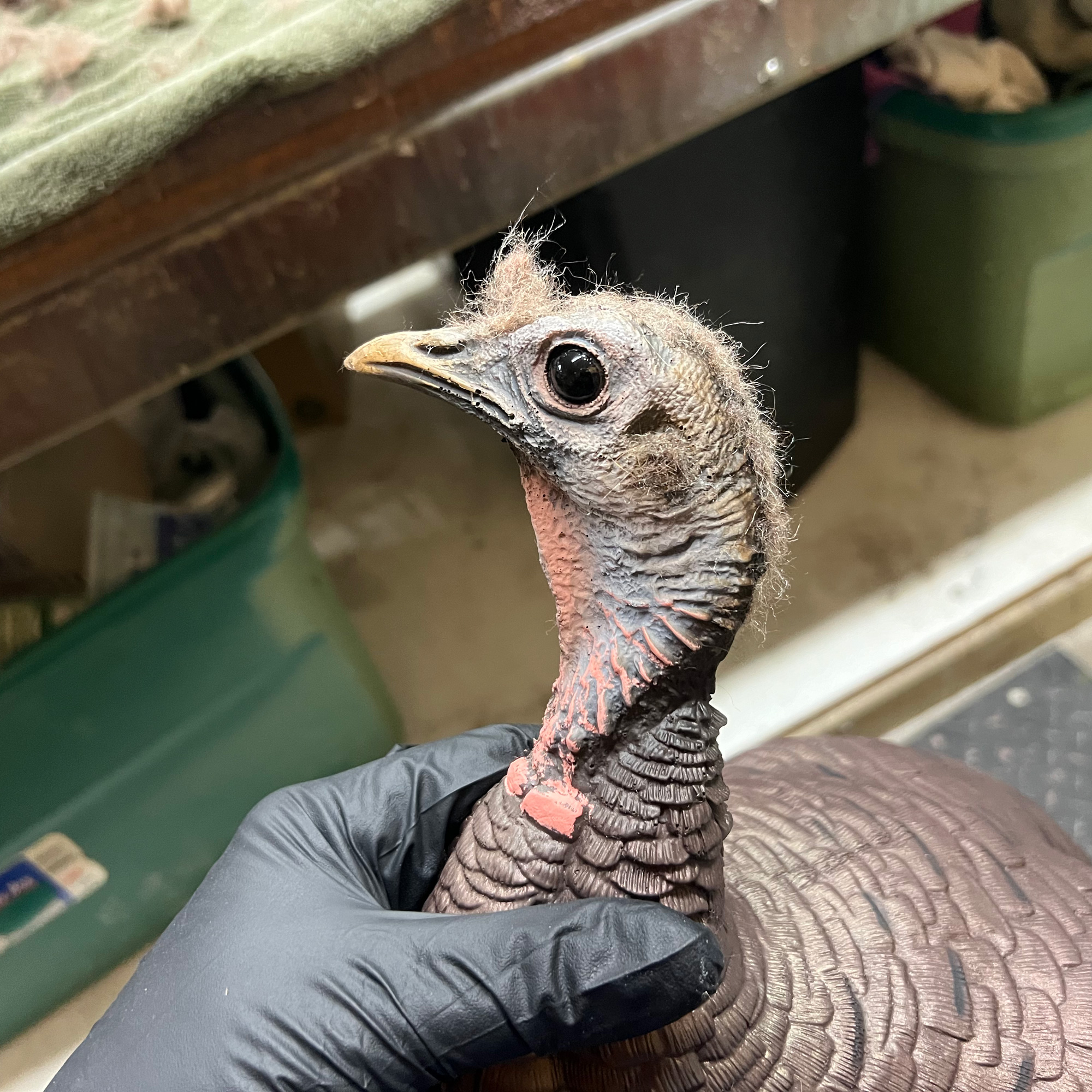 Limited Turkey | 25th Anniversary Hen - Image 3