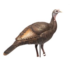 Limited Turkey | 25th Anniversary Hen