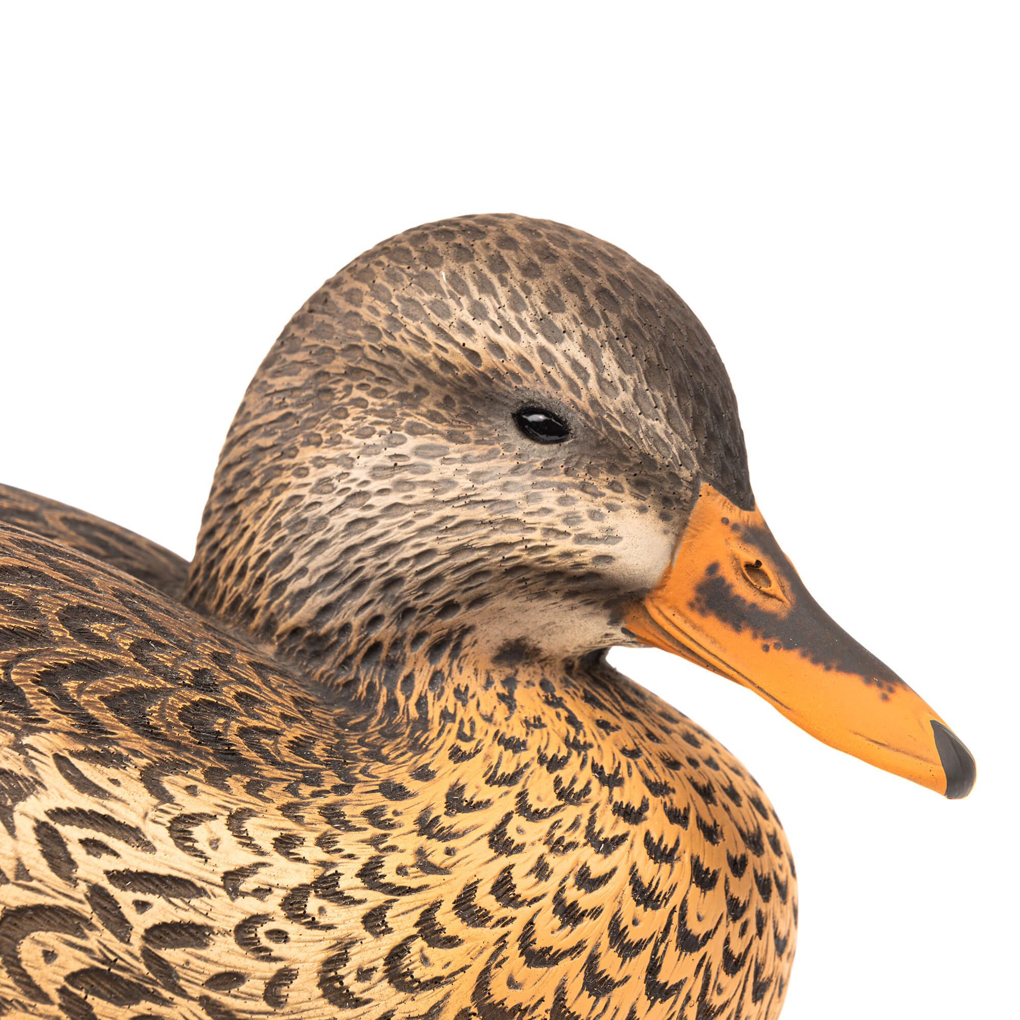 Limited Series | 25th Anniversary Mallard Pair - Image 7
