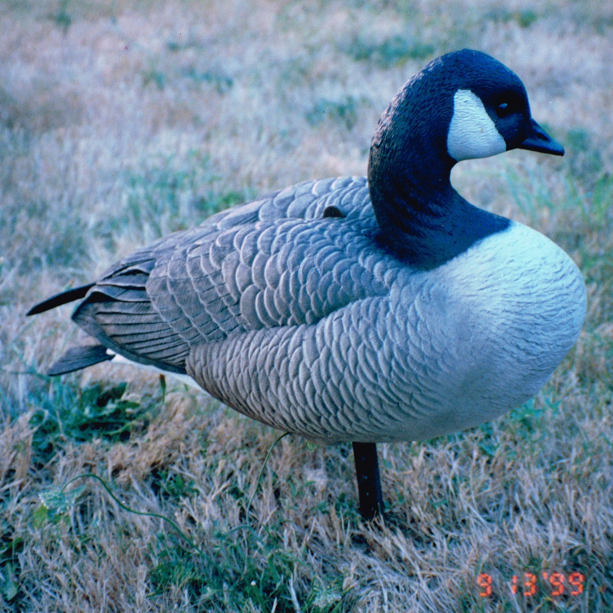 Limited Series Auction | 25th Anniversary Tav - Image 7